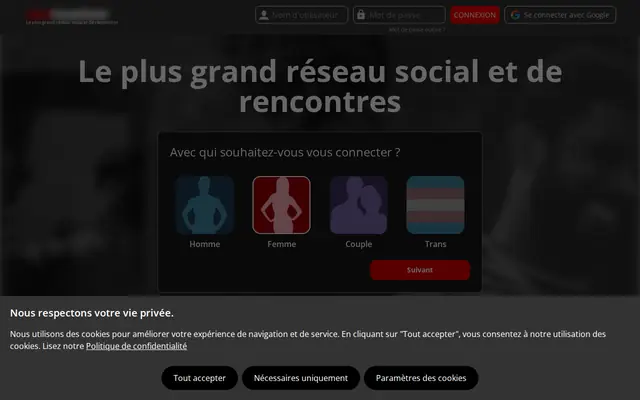 AdultFriendFinder : page d'accueil (capture floutée)