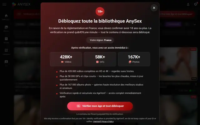 anysex.com : page d'accueil (capture floutée)