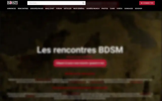 BDSM.fr : page d'accueil (capture floutée)