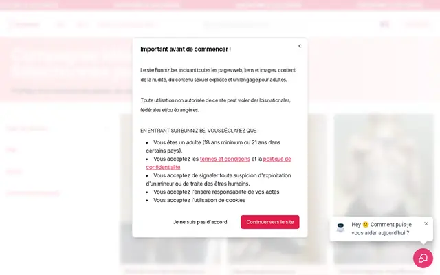 Bunniz : page d'accueil (capture floutée)