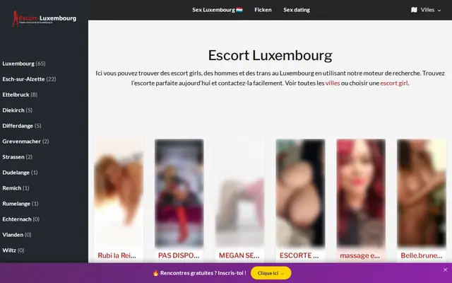 Escort-Luxembourg : page d'accueil (capture floutée)