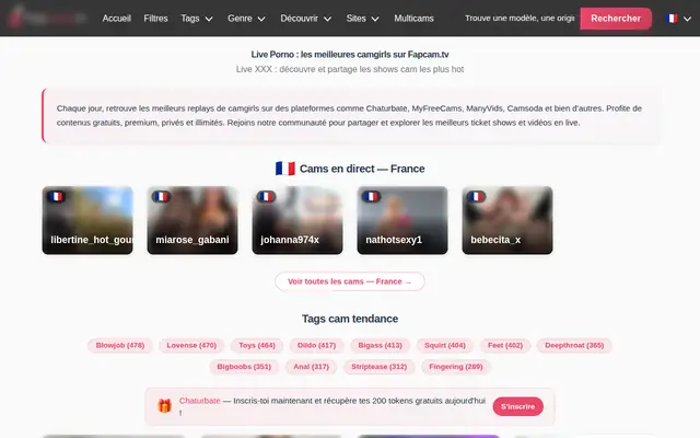 Fapcam : page d'accueil (capture floutée)