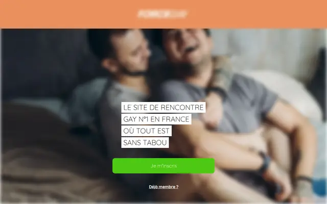 ForceGay : page d'accueil (capture floutée)
