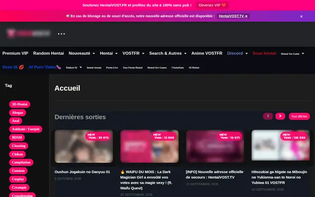 hentaivost.fr : page d'accueil (capture floutée)