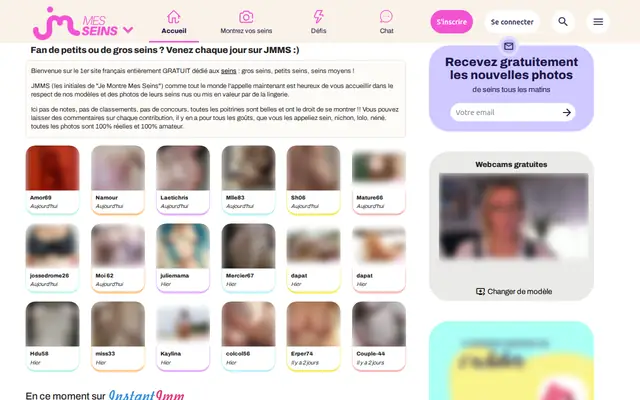 Je Montre Mes Seins : page d'accueil (capture floutée)