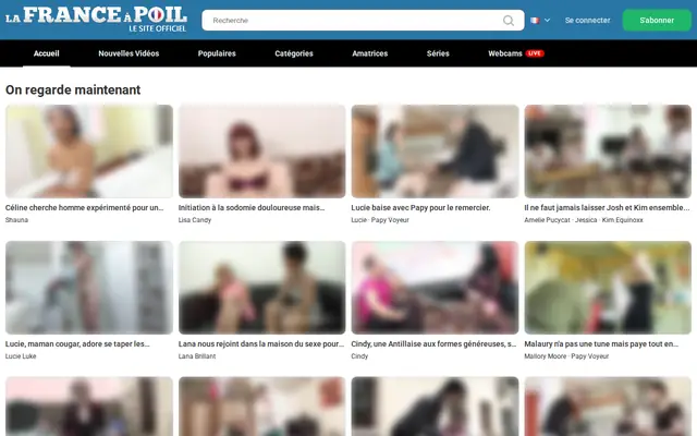 LaFranceaPoil : page d'accueil (capture floutée)