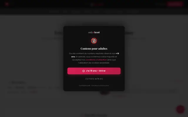 OnlyxScort : page d'accueil (capture floutée)