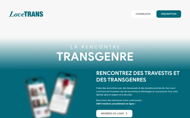 LoveTrans : page d'accueil (capture floutée)