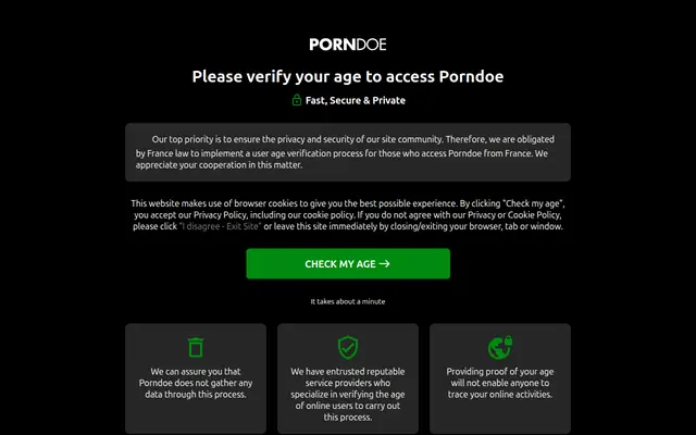 PornDoe : page d'accueil (capture floutée)