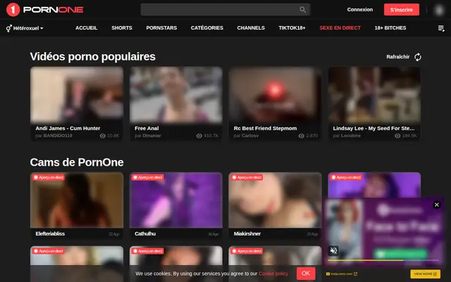 PornOne : page d'accueil (capture floutée)