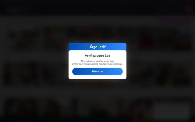 ShemaleZ : page d'accueil (capture floutée)