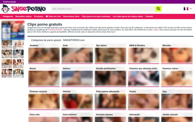 singeporno.com : page d'accueil (capture floutée)