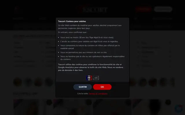 tescort.com : page d'accueil (capture floutée)