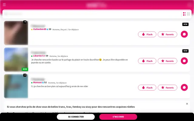 Transtrav : page d'accueil (capture floutée)