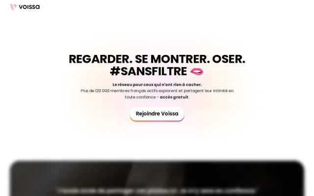 Voissa : page d'accueil (capture floutée)