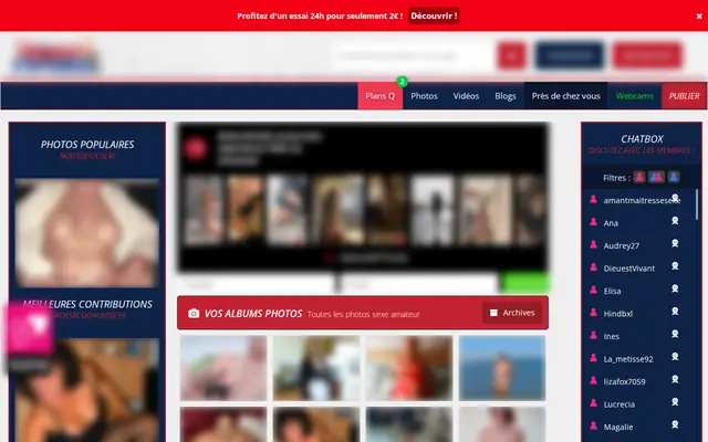 Voyeur France : page d'accueil (capture floutée)