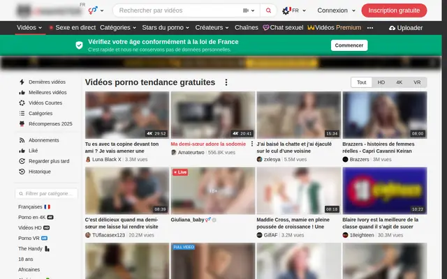 xHamster : page d'accueil (capture floutée)