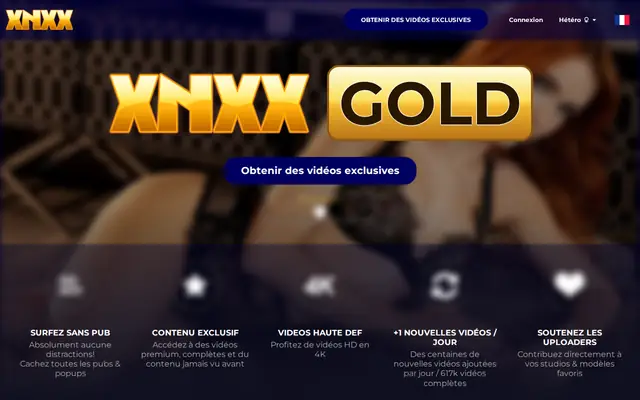 XNXX Gold : page d'accueil (capture floutée)